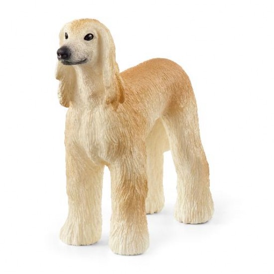 CHIEN LEVRIER AFGHAN