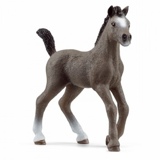 CHEVAL DE SELLE FRANCAIS POULAIN