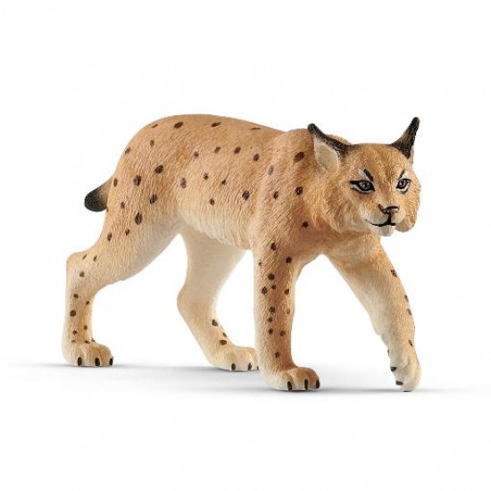 LYNX