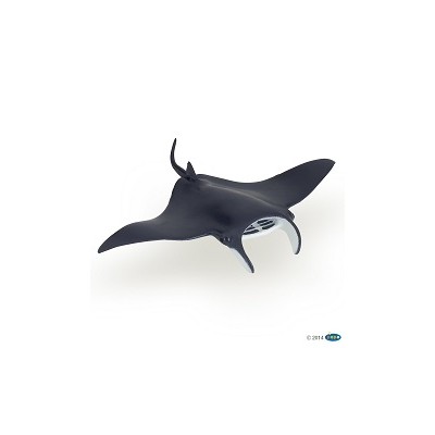 RAIE MANTA