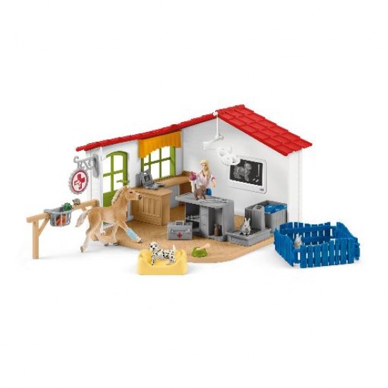 CABINET VETERINAIRE AVEC ANIMAUX