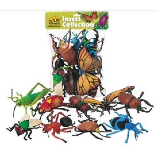 INSECTES DANS UN SAC