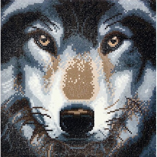 TOILE DIAMANT / LOUP DANS UN CADRE