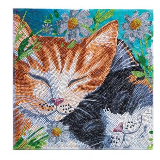 TOILE DIAMANT / CHATS ENDORMIS